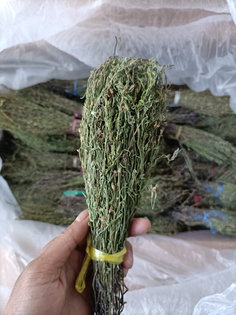 独脚金大量有货长期供应，质量把关，颜色青绿！！