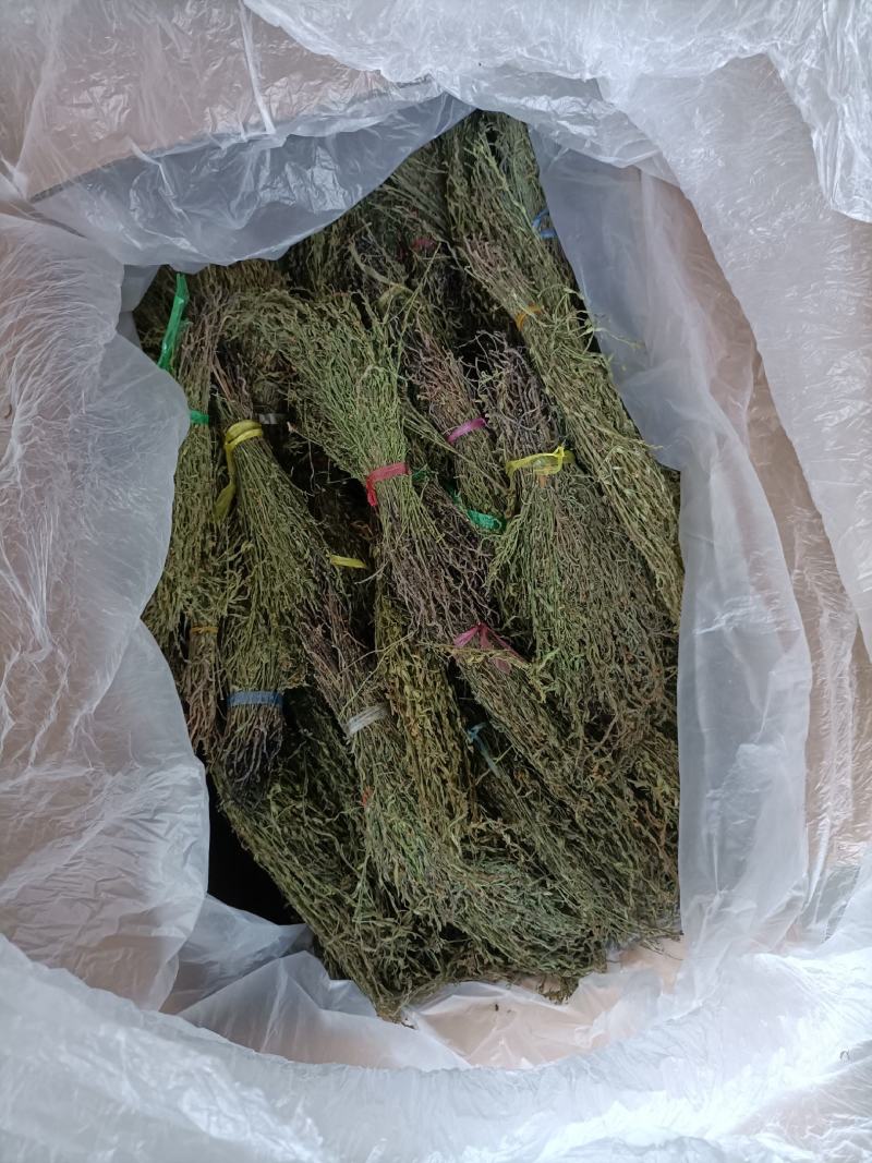 独脚金大量有货长期供应，质量把关，颜色青绿！！