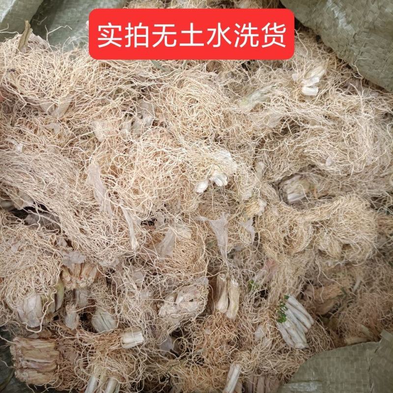 葱根葱须正品保障可打粉一手货源专业批发中药批发
