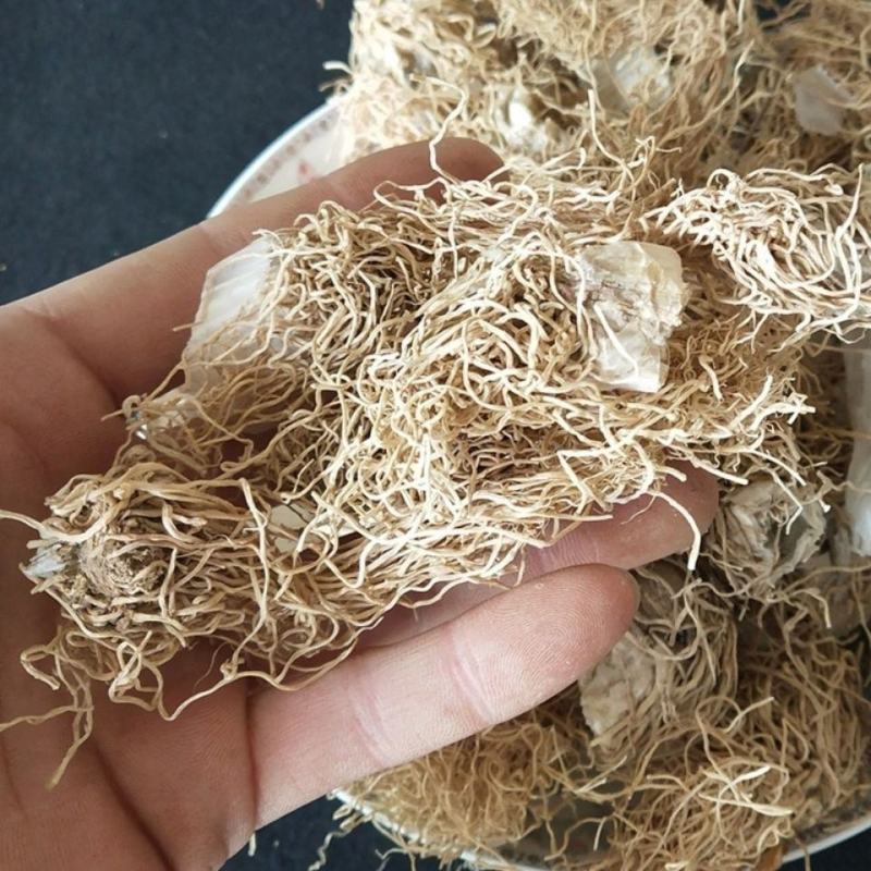 葱根葱须正品保障可打粉一手货源专业批发中药批发
