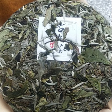 云南原产地正宗普洱茶月光白货源充足欢迎进店采购