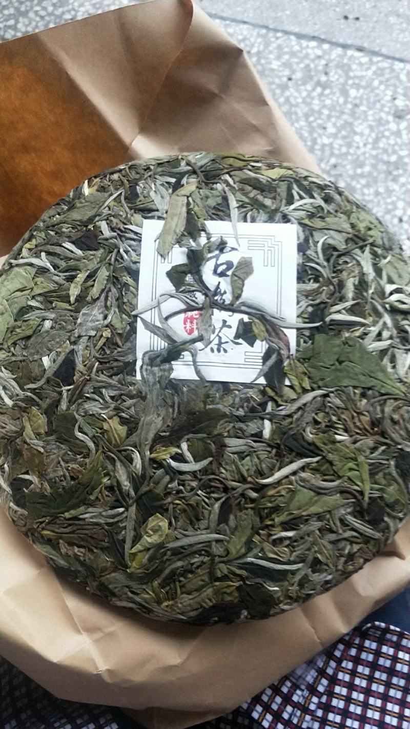 云南原产地正宗普洱茶月光白货源充足欢迎进店采购