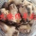 【羊头】当地绵羊的火燎水洗无碱，大羊羔羊白头花头都有！