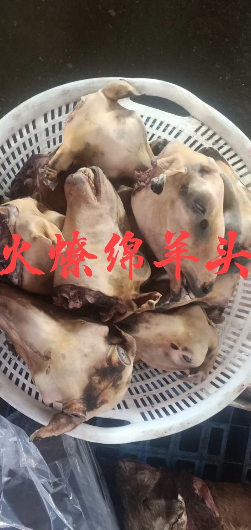 【羊头】当地绵羊的火燎水洗无碱，大羊羔羊白头花头都有！