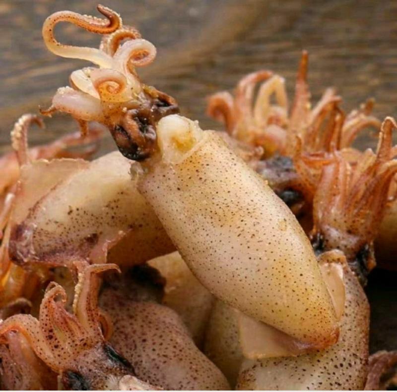 海兔干带籽海兔干原汁原味健康营养美味保质保量包邮