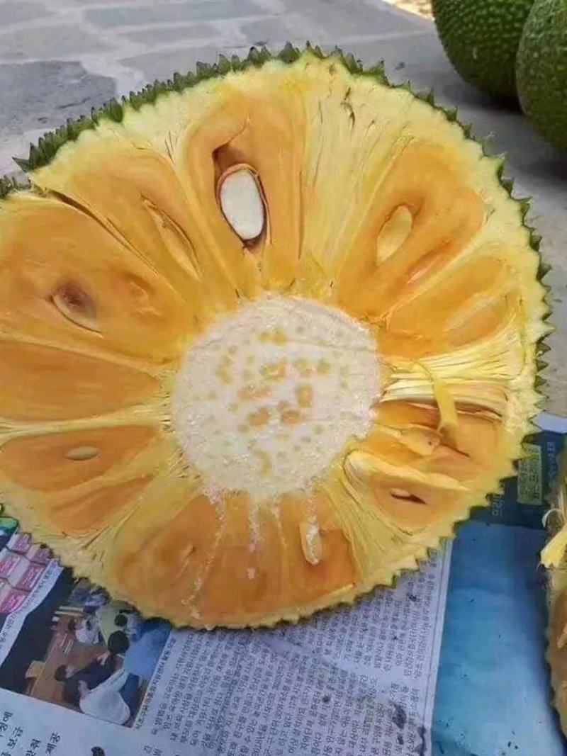 海南红肉菠萝蜜，海南泰八，一件代发批发