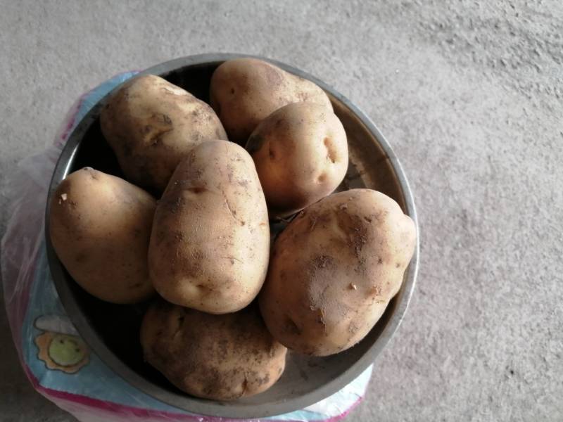 土豆质量好，口感好，每天供应，货源充足，欢迎各位老板来采