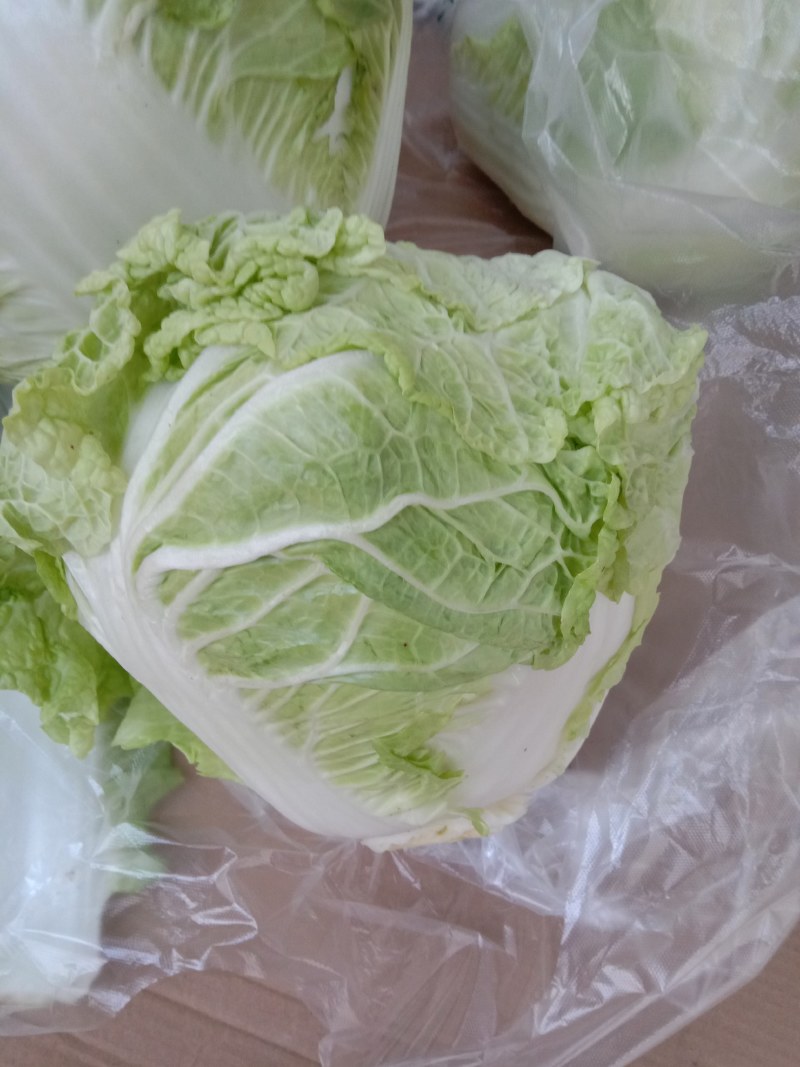 优质大白菜，品质优良