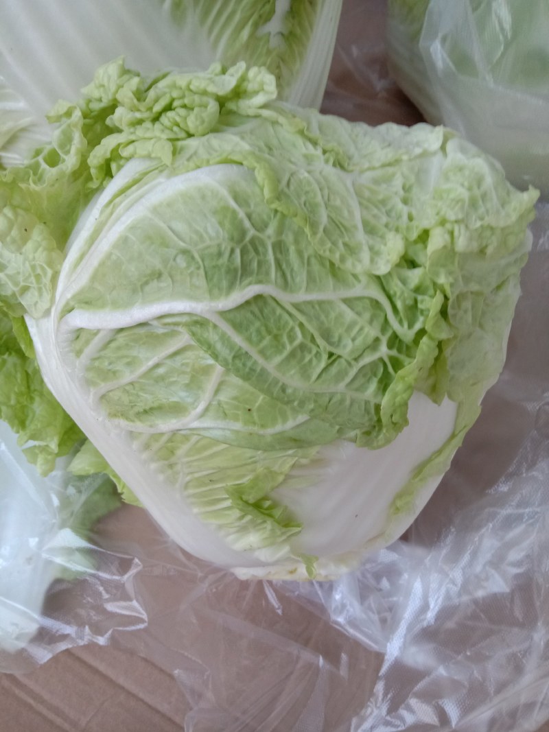 优质大白菜，品质优良
