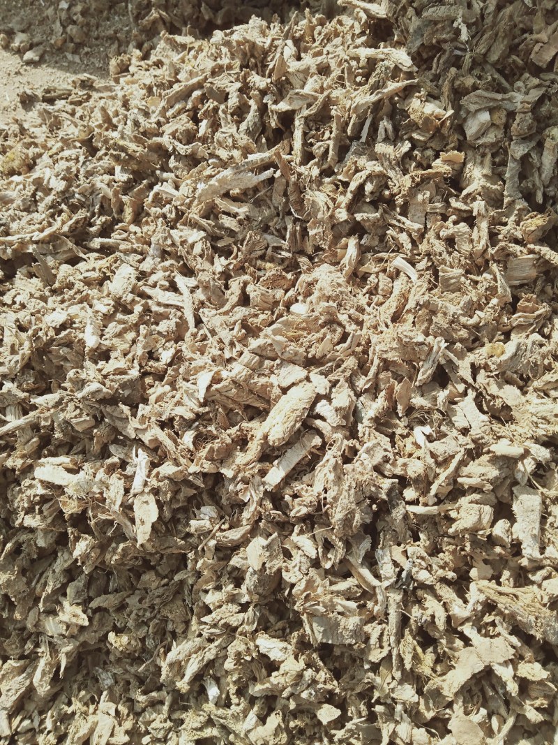 山东柴姜姜片，姜丝，过筛。