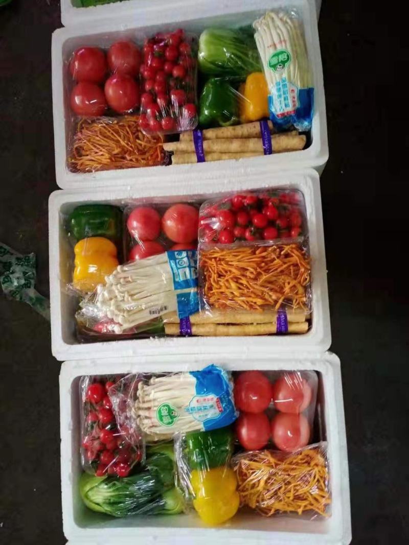 寿光蔬菜精品套菜礼盒春节蔬菜礼盒蔬菜大礼包批发