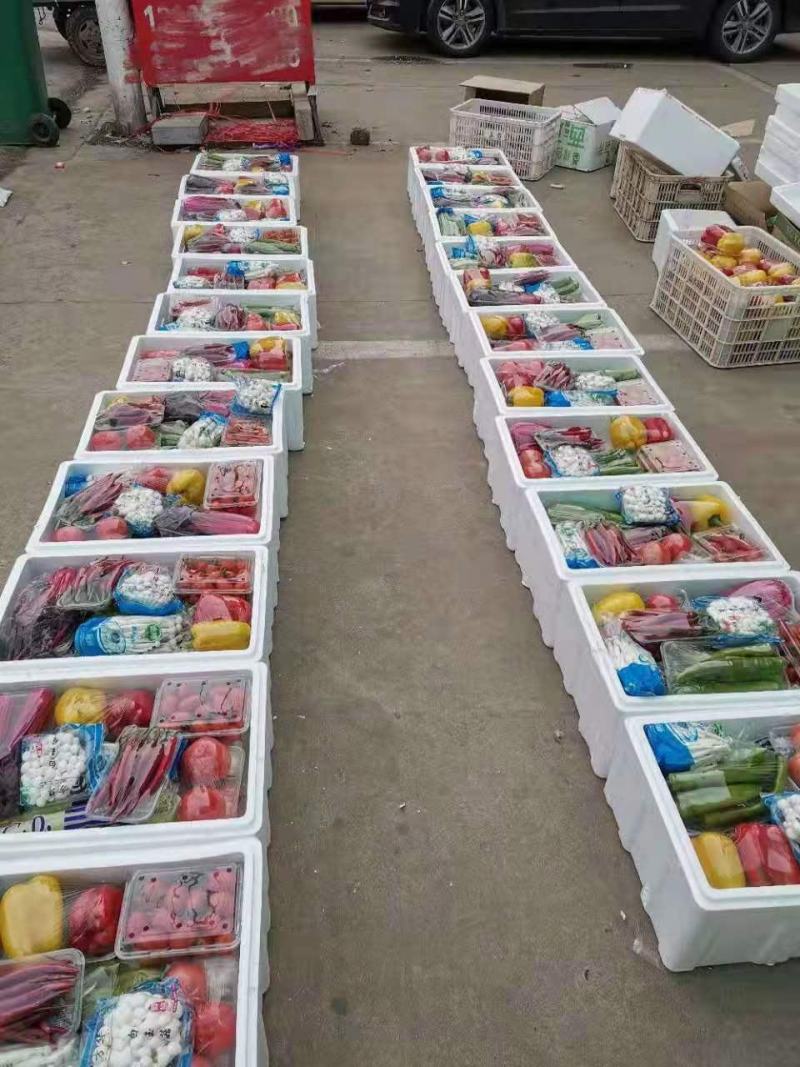 寿光蔬菜精品套菜礼盒春节蔬菜礼盒蔬菜大礼包批发