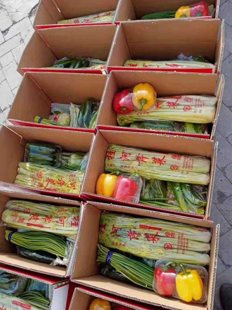 寿光蔬菜精品套菜礼盒春节蔬菜礼盒蔬菜大礼包批发