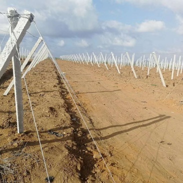 大量供应水泥立柱！规格可以定做，专业施工队搭建各种架子