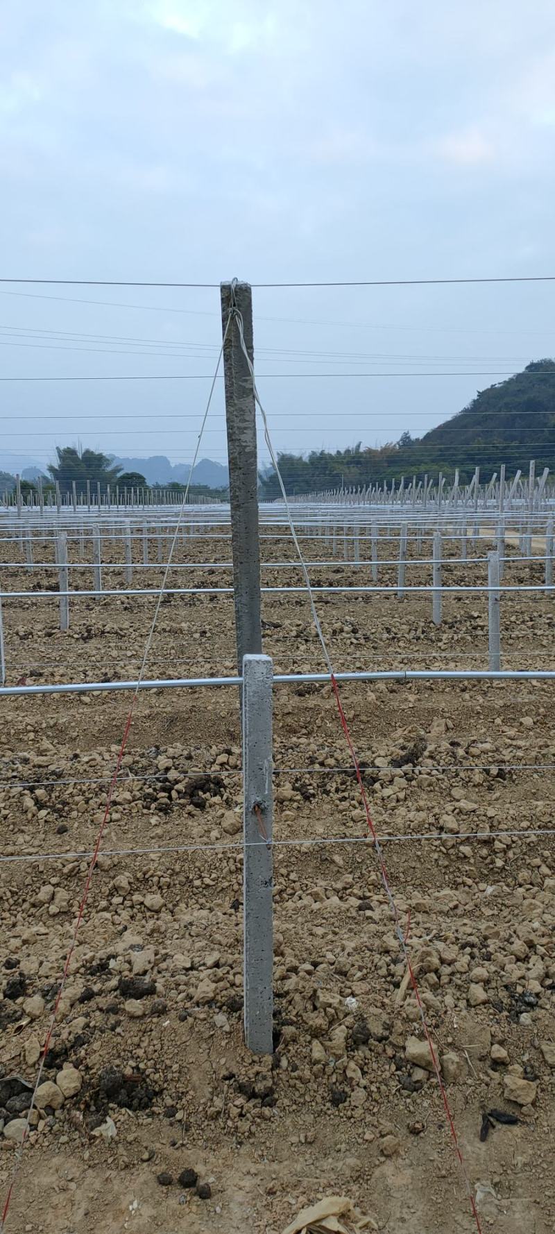 大量供应水泥立柱！规格可以定做，专业施工队搭建各种架子