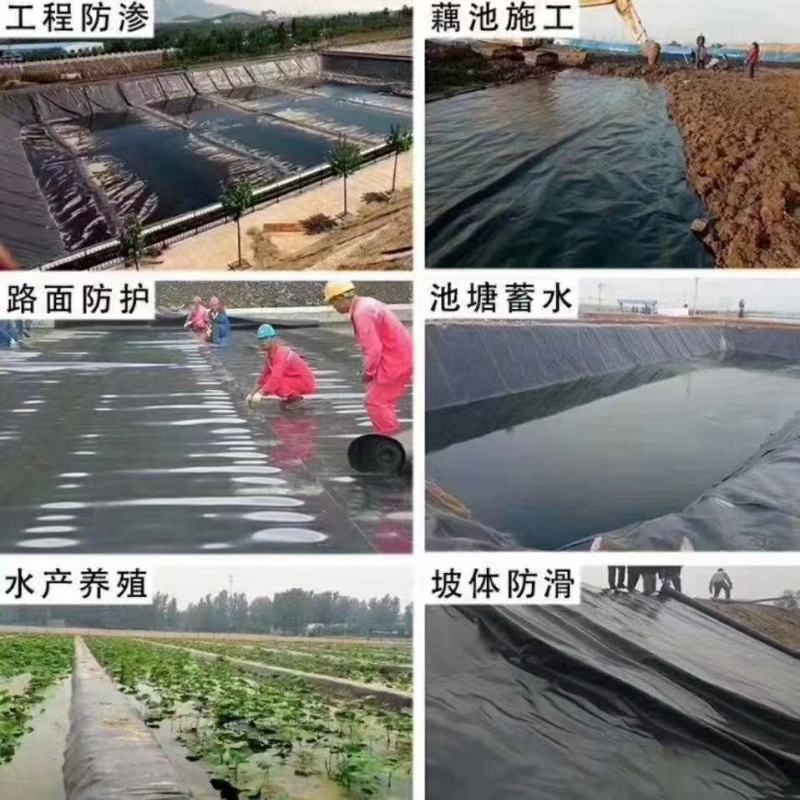 鱼塘藕池虾池土工膜防渗膜养殖防渗膜防渗沼气池黑膜防逃膜