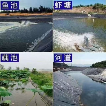 鱼塘藕池虾池土工膜防渗膜养殖防渗膜防渗沼气池黑膜防逃膜