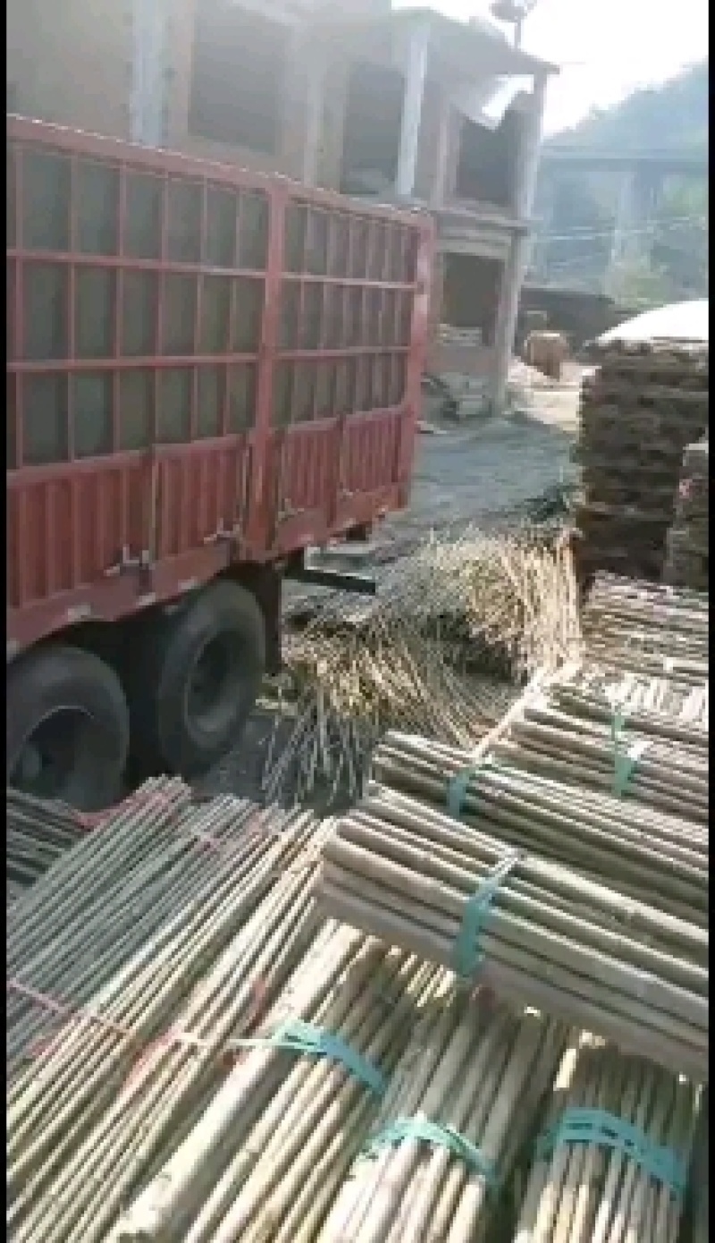 2米—3米竹竿（杆）一手货源，质量有保证，价格公道