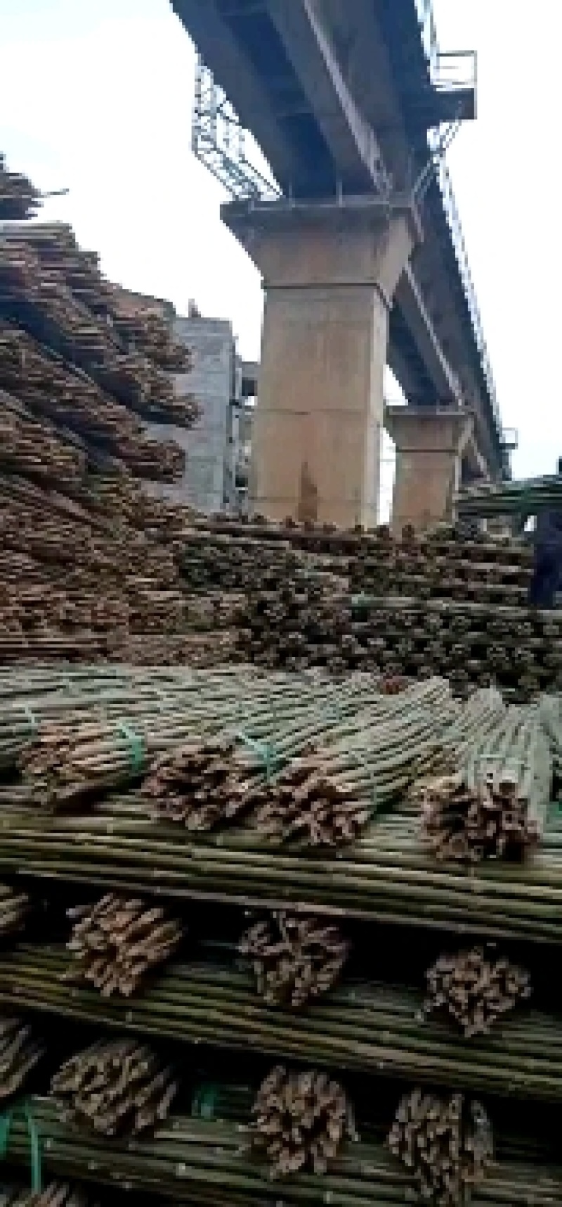 2米—3米竹竿（杆）一手货源，质量有保证，价格公道