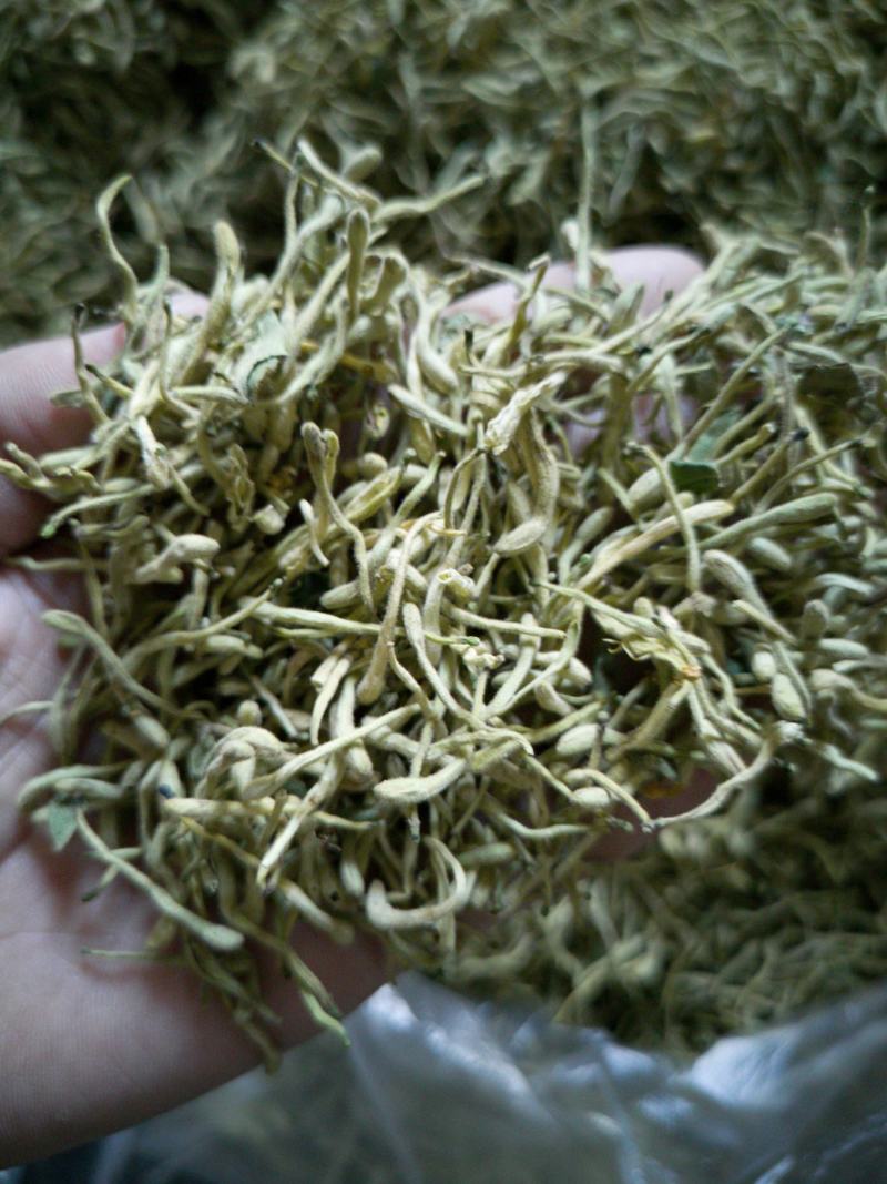 金银花，双花，河北金银花，色青花，带绒毛