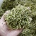 金银花，双花，河北金银花，色青花，带绒毛