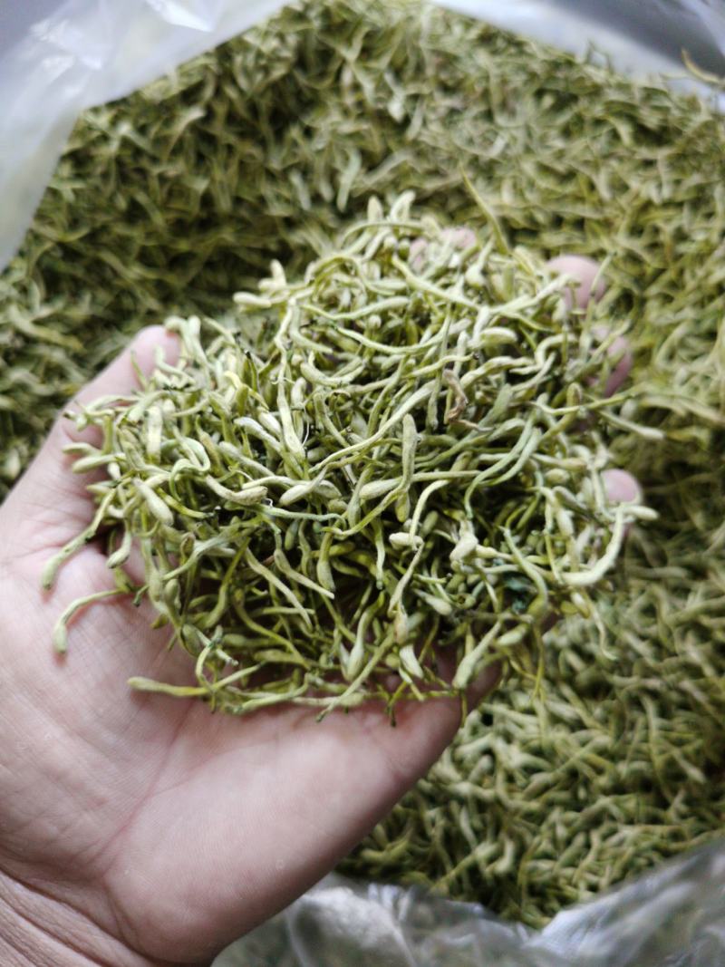 金银花，双花，河北金银花，色青花，带绒毛