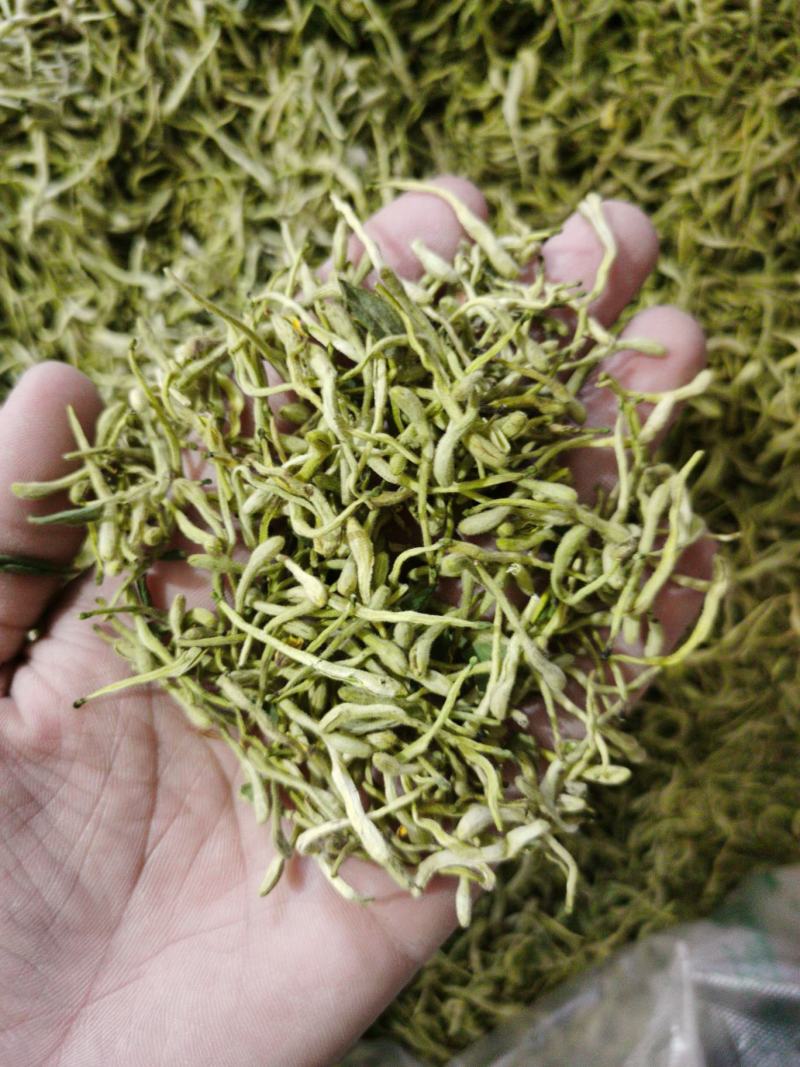 金银花，双花，河北金银花，色青花，带绒毛