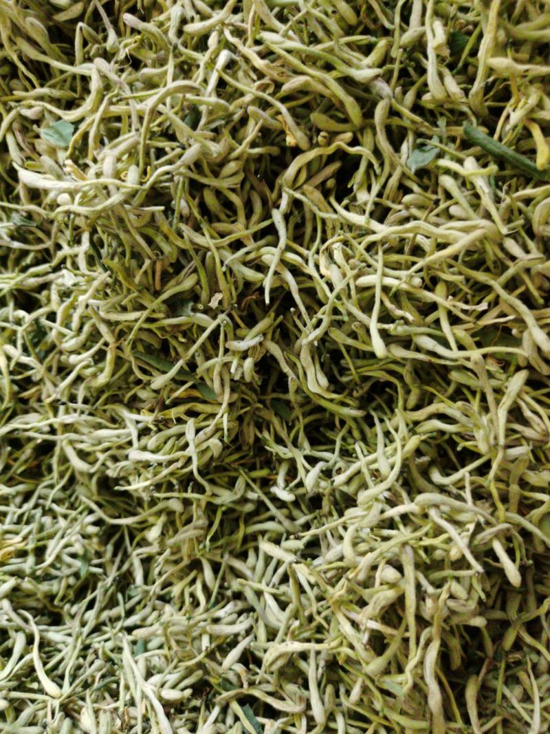 金银花，双花，河北金银花，色青花，带绒毛