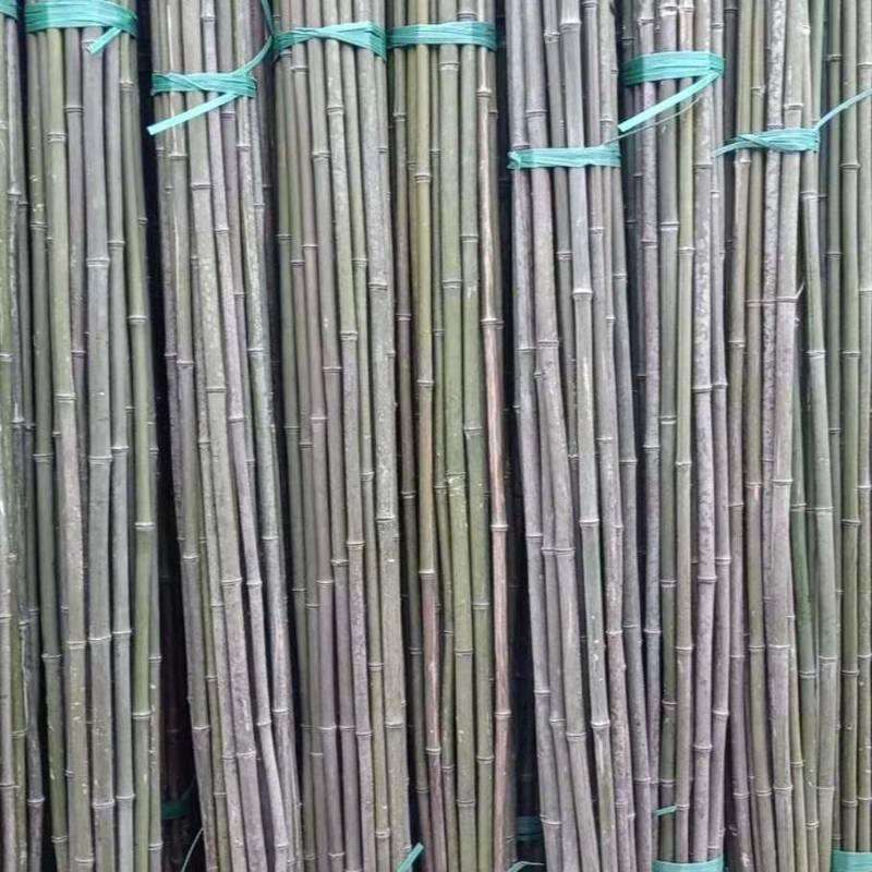 2米—3米竹竿（杆）一手货源，质量有保证，价格公道
