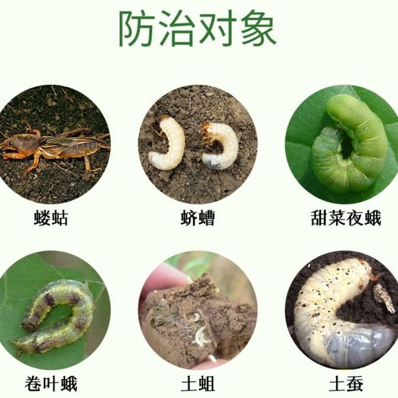 5.7%氟氯氰菊酯蚜虫地老虎韭蛆菜青虫杀虫剂