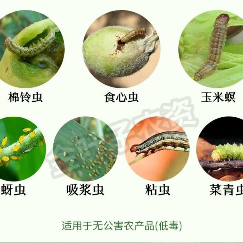 5.7%氟氯氰菊酯蚜虫地老虎韭蛆菜青虫杀虫剂