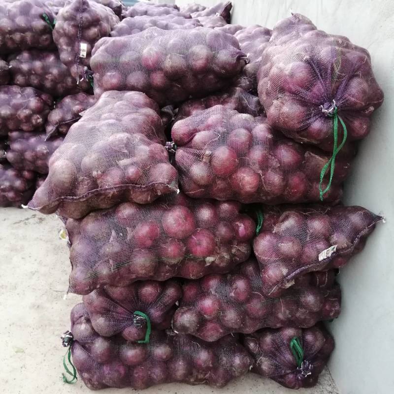 云南紫皮新洋葱己上市欢迎新老客户采购！！