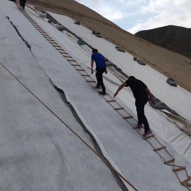 河道防渗土工布土工膜景观人工湖防水两布一膜鱼塘养殖