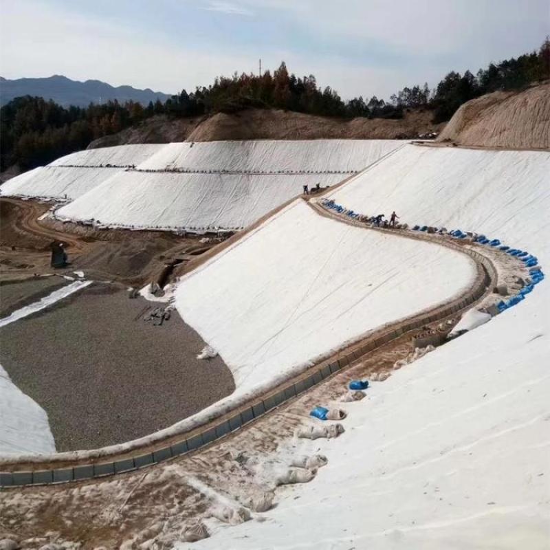 河道防渗土工布土工膜景观人工湖防水两布一膜鱼塘养殖