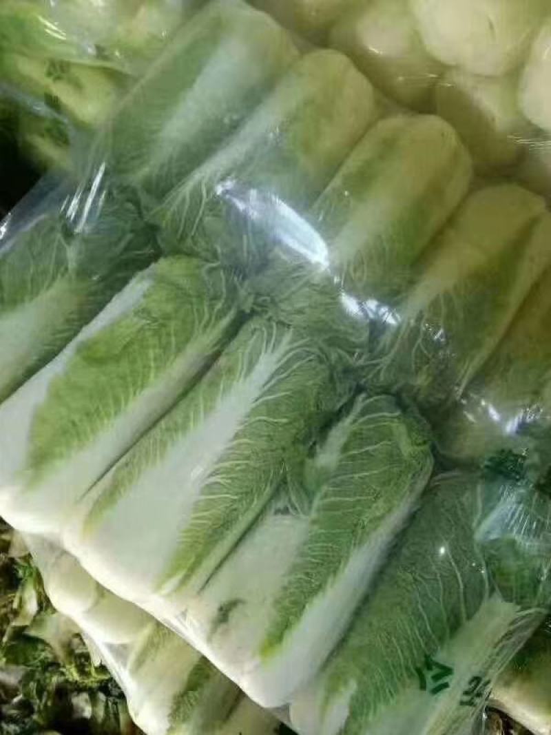 优质山东泰安大白菜一手货源