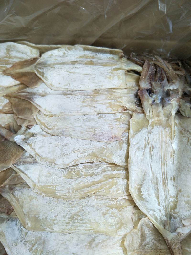 批发【鱿鱼干】明须鱿鱼干一箱20斤批发实惠价一手货源