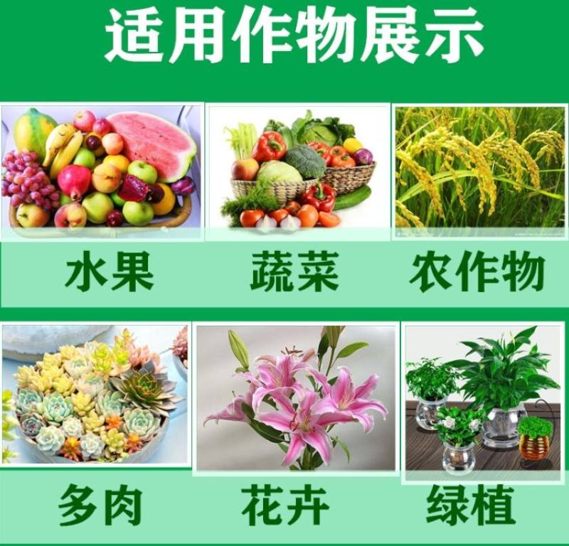 艾锐喜氟吡菌胺霜霉威蔬菜果树黄瓜霜霉晚疫病杀菌剂