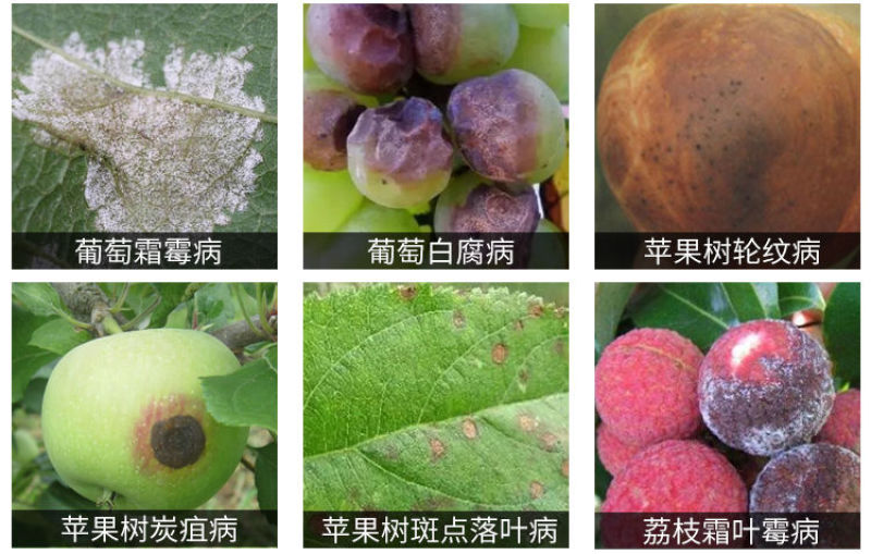 艾锐喜氟吡菌胺霜霉威蔬菜果树黄瓜霜霉晚疫病杀菌剂
