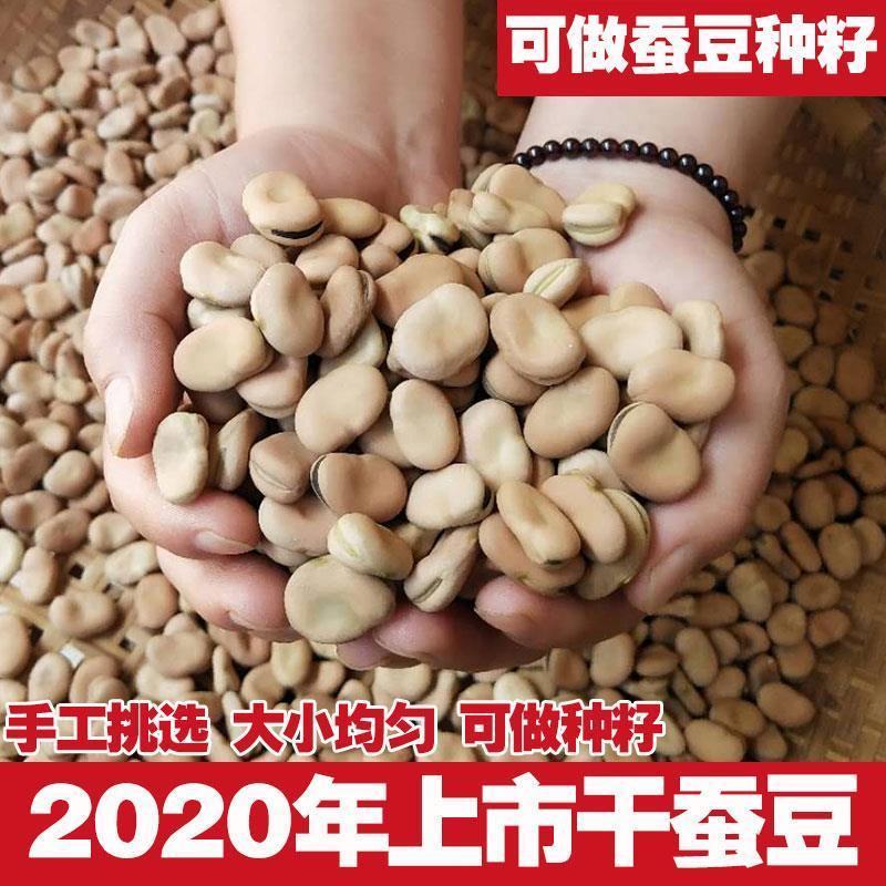 甘肃高原新鲜干蚕豆费可油炸散装（大豆，量大优惠