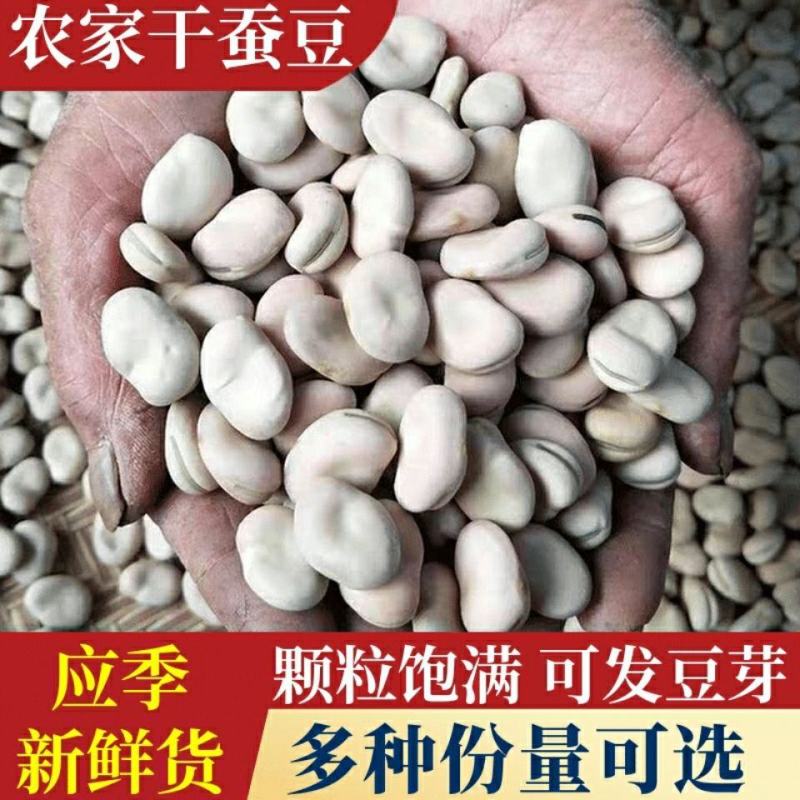 甘肃高原新鲜干蚕豆费可油炸散装（大豆，量大优惠