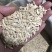 黄瓜子清香味道不要贪便宜买到油性臭味炒非种植种子