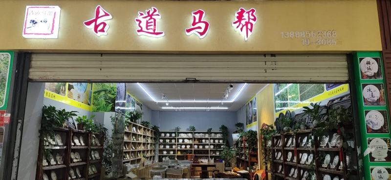 普洱茶生茶2019年春茶大树茶云南七子饼茶357克/饼