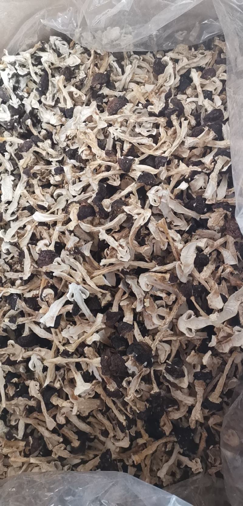 云南球盖菇干片大球盖菇赤松茸基地货源新货大量上市批发