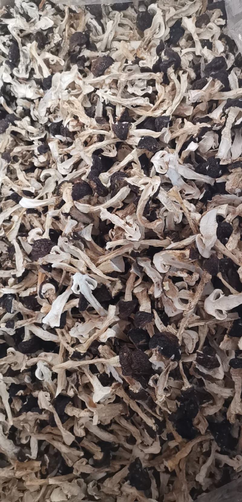 云南球盖菇干片大球盖菇赤松茸基地货源新货大量上市批发