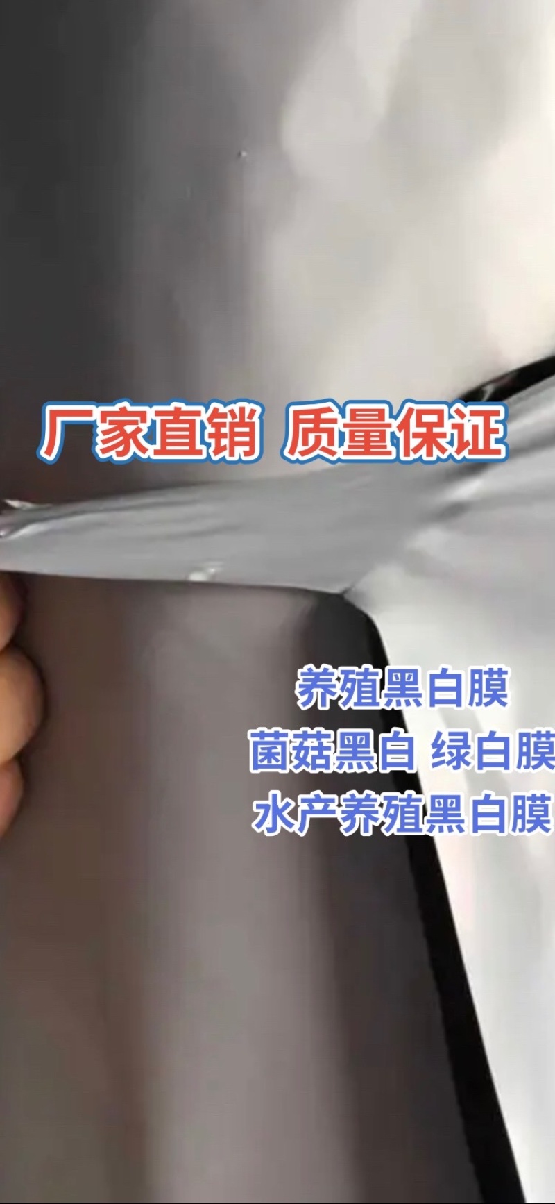 大棚膜厂家直销高品质黑白膜绿白膜养殖菌菇专用膜