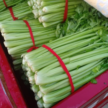 我们经营芹菜等各种大量共应应