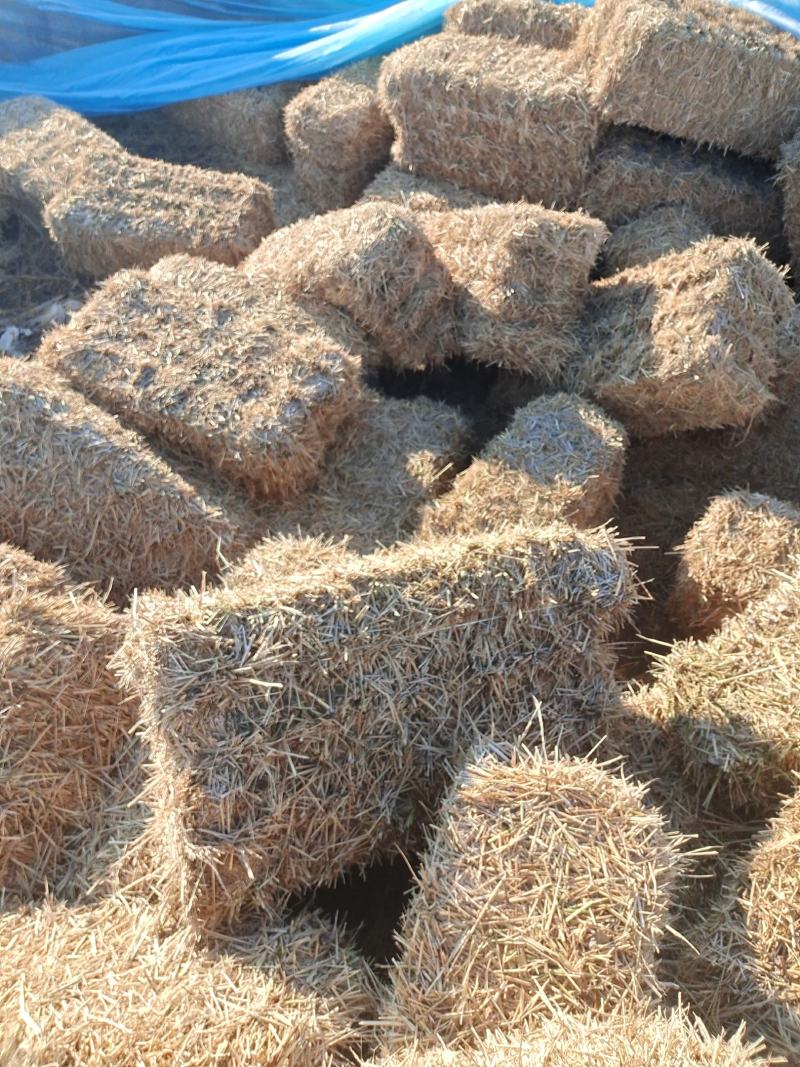 小包柔丝稻草大包粉碎稻草牛羊稻草大方包肉丝稻草