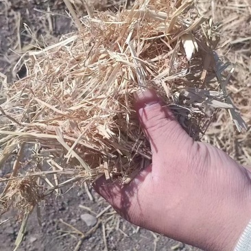 克拉斯粉碎稻草柔丝稻草小包稻草大方包稻草网袋稻草