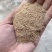 米糠灰糠稻壳粉筛糠稻壳粉鸡鸭鹅饲料工业添加剂