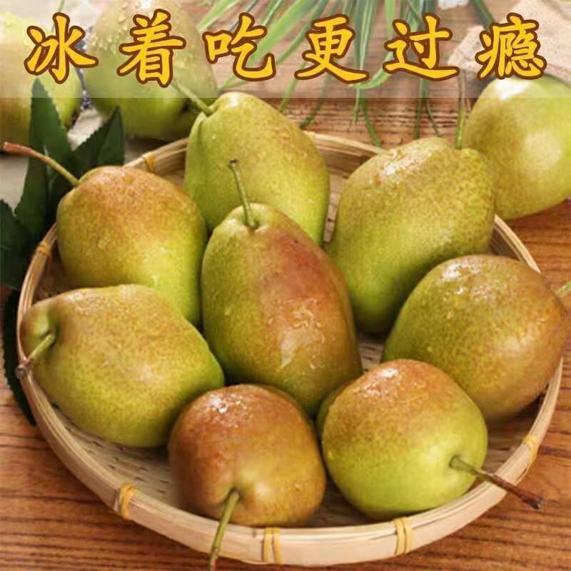 农产品直销土特产农家库尔勒香梨全母梨红香酥梨果之缘生鲜电